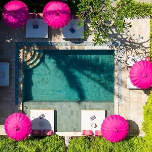 Pinkprivate - For Cool Adults Only Bed & Breakfast