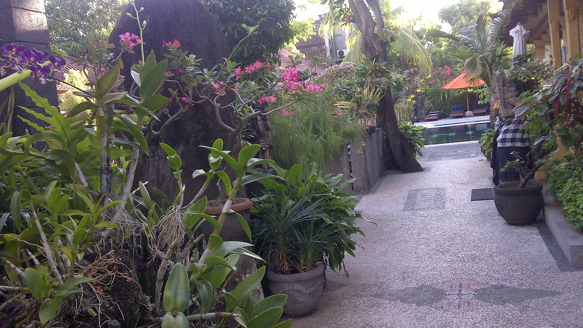***  Legian Village Hotel - CHSE Certified Indonesië